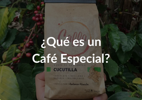¿Qué es un café especial?